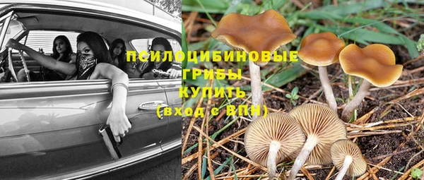 mix Алексеевка
