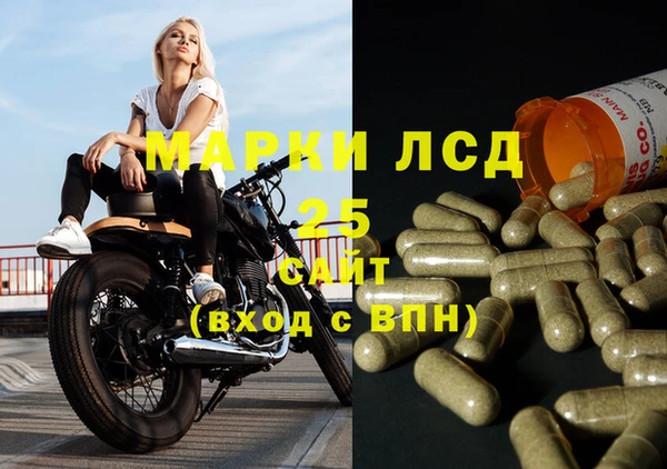 спайс Алзамай
