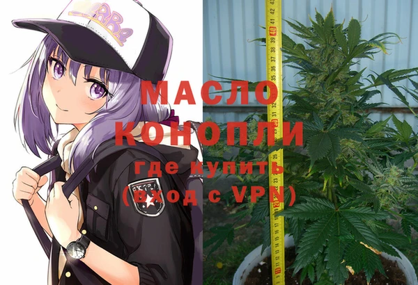 дмт Гусь-Хрустальный