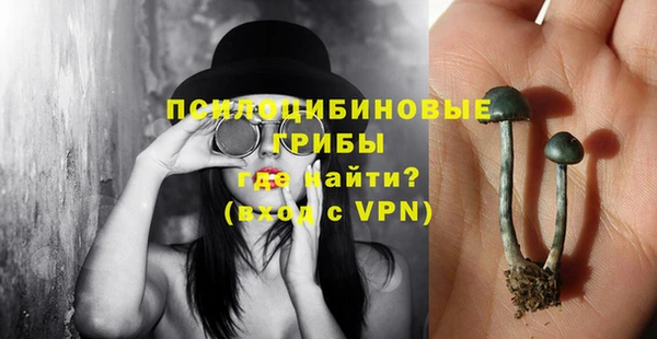 спайс Алзамай